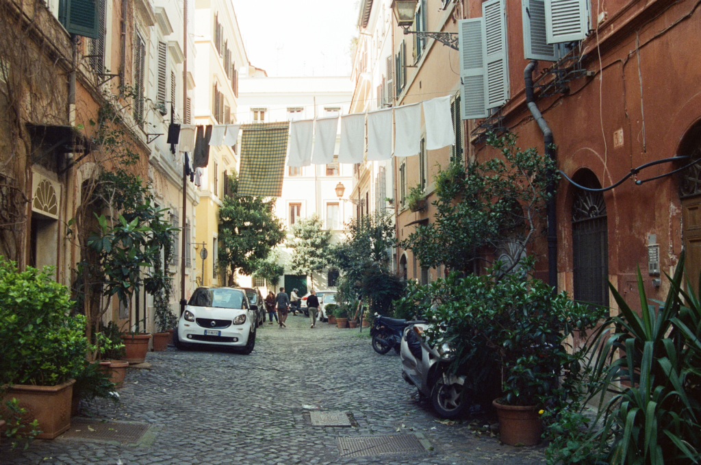 Pellicule 6, Cinestill 800T